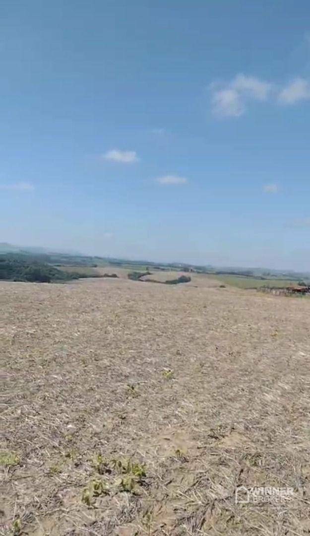 Fazenda à venda com 3 quartos, 3920000M2 - Foto 20