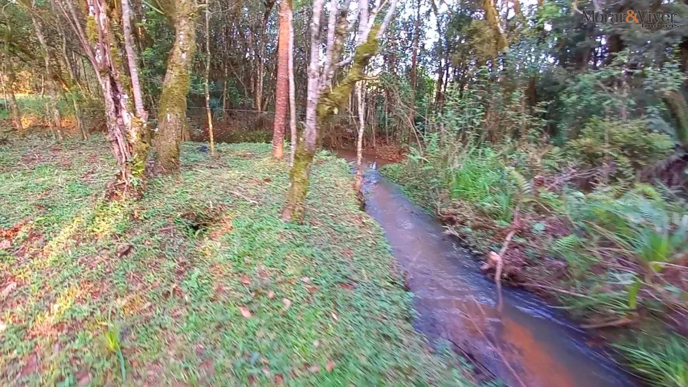 Chácara, 3 hectares - Foto 3