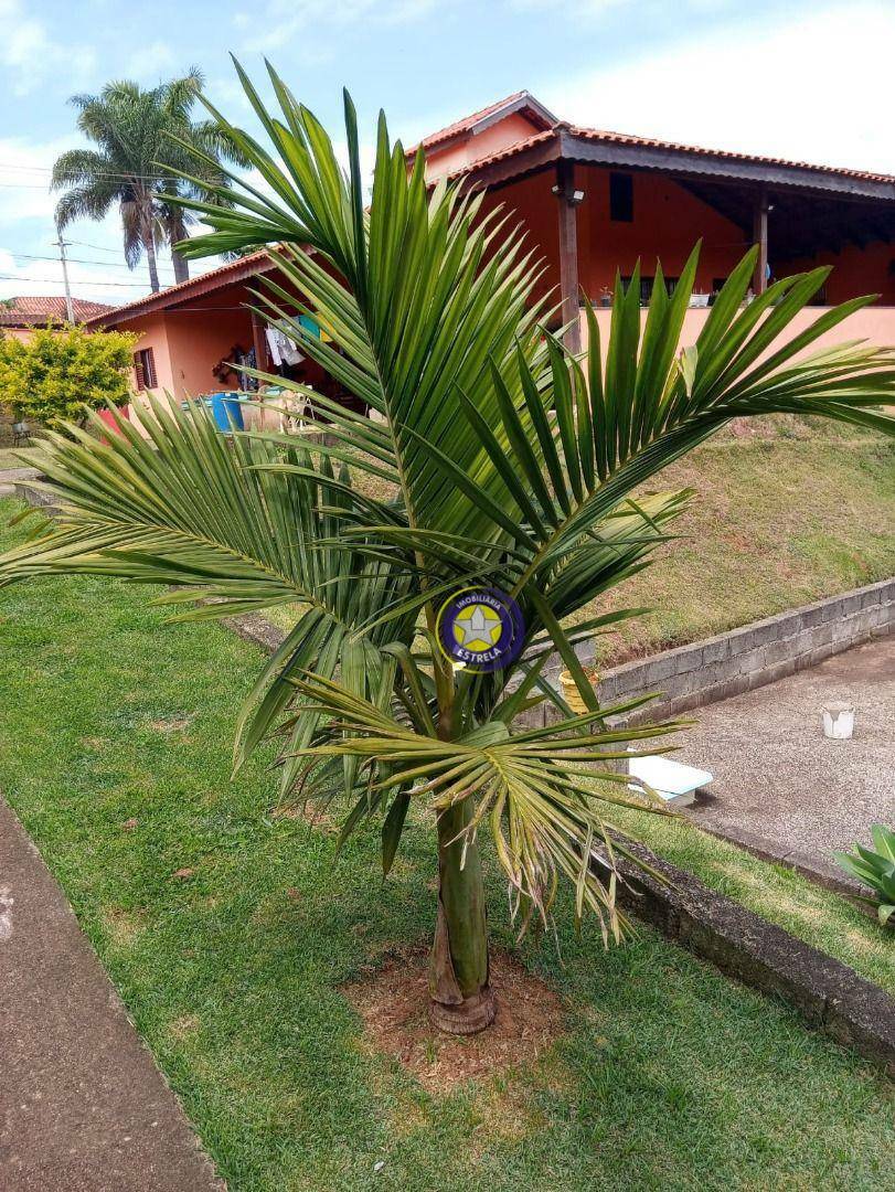Chácara à venda com 2 quartos, 1195M2 - Foto 11