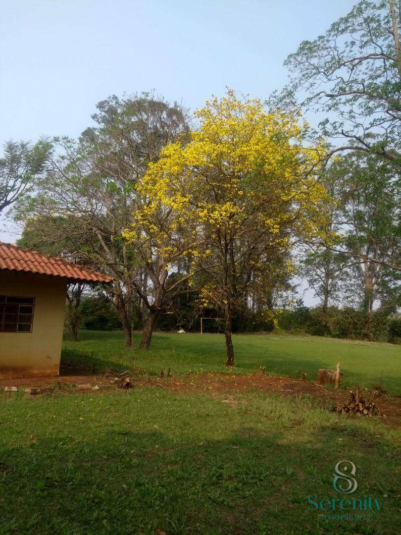 Chácara à venda e aluguel com 3 quartos, 190m² - Foto 6