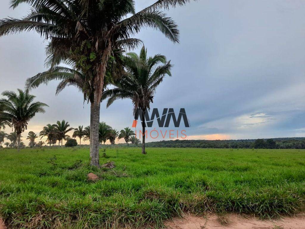 Fazenda à venda, 87120000M2 - Foto 41