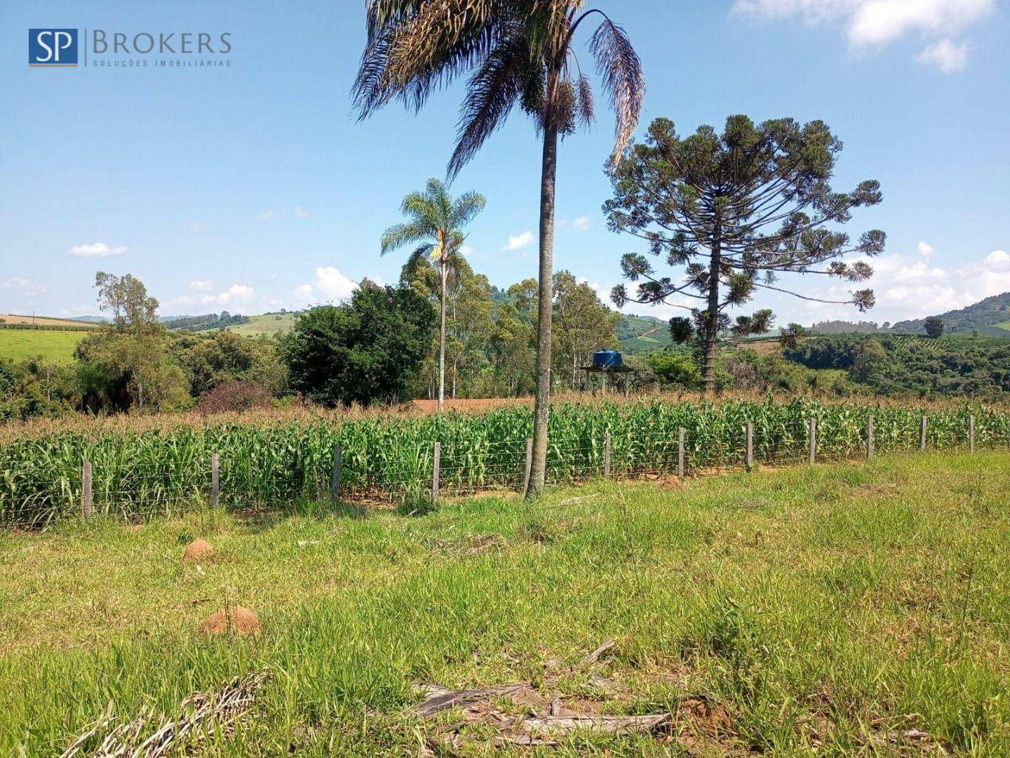 Chácara à venda com 4 quartos, 300m² - Foto 26