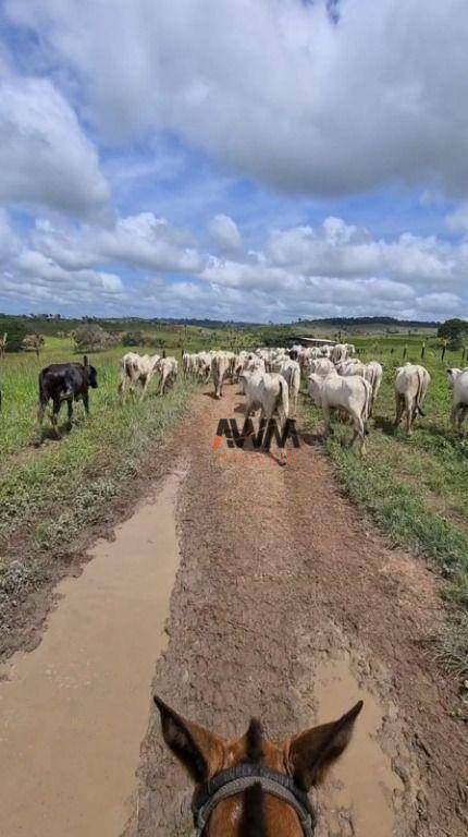 Fazenda à venda, 10406000M2 - Foto 7