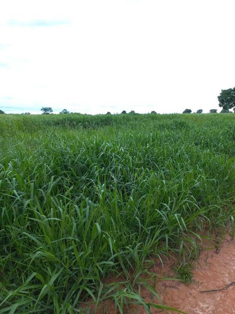 Fazenda à venda, 9970000M2 - Foto 7