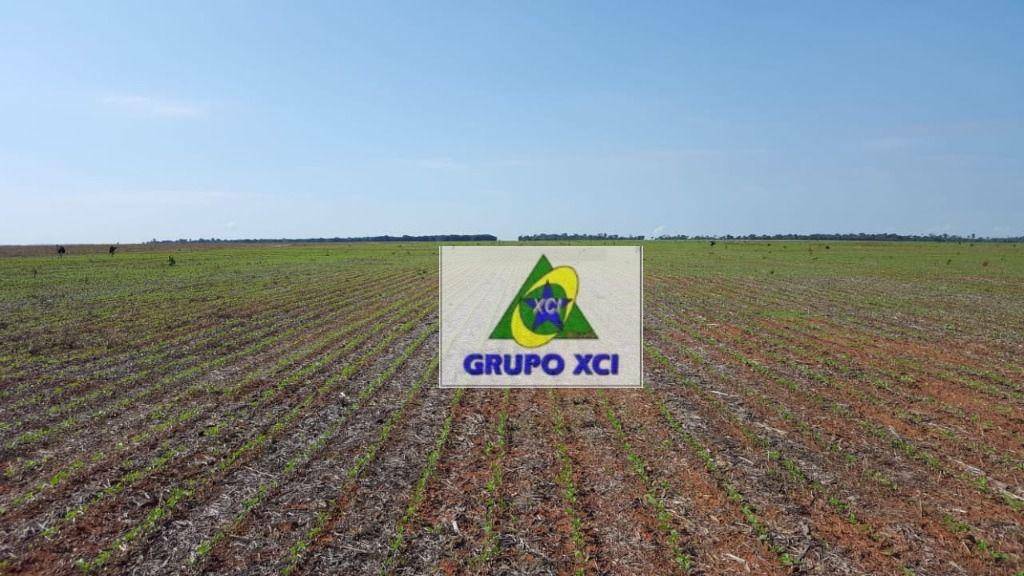 Fazenda, 4600 hectares - Foto 4