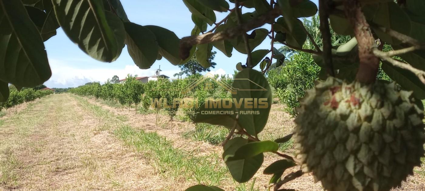 Fazenda à venda, 64m² - Foto 3