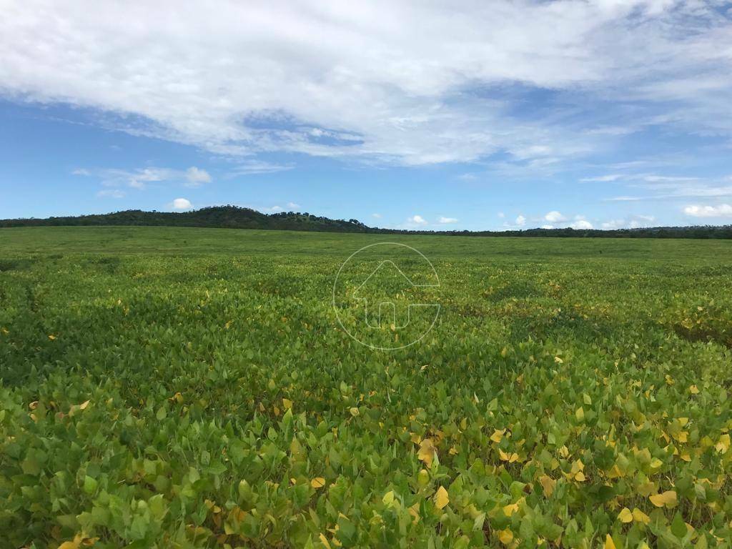 Fazenda à venda, 5000000M2 - Foto 3