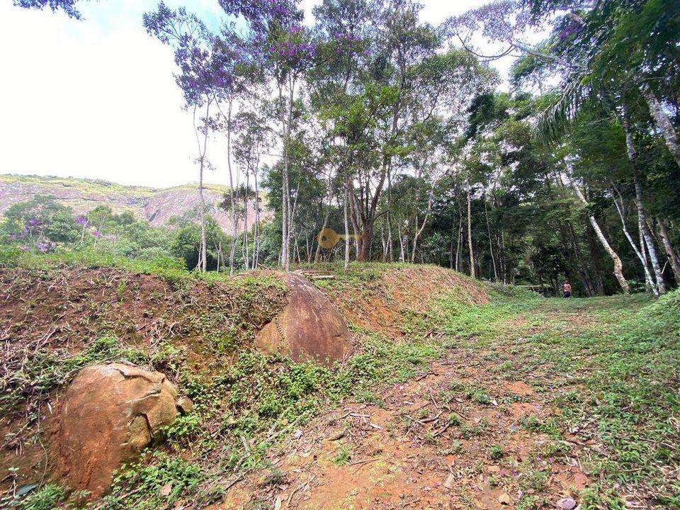 Terreno à venda com 1 quarto, 4000m² - Foto 10