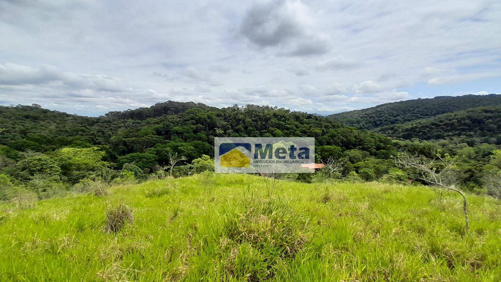 Sítio, 3 hectares - Foto 2