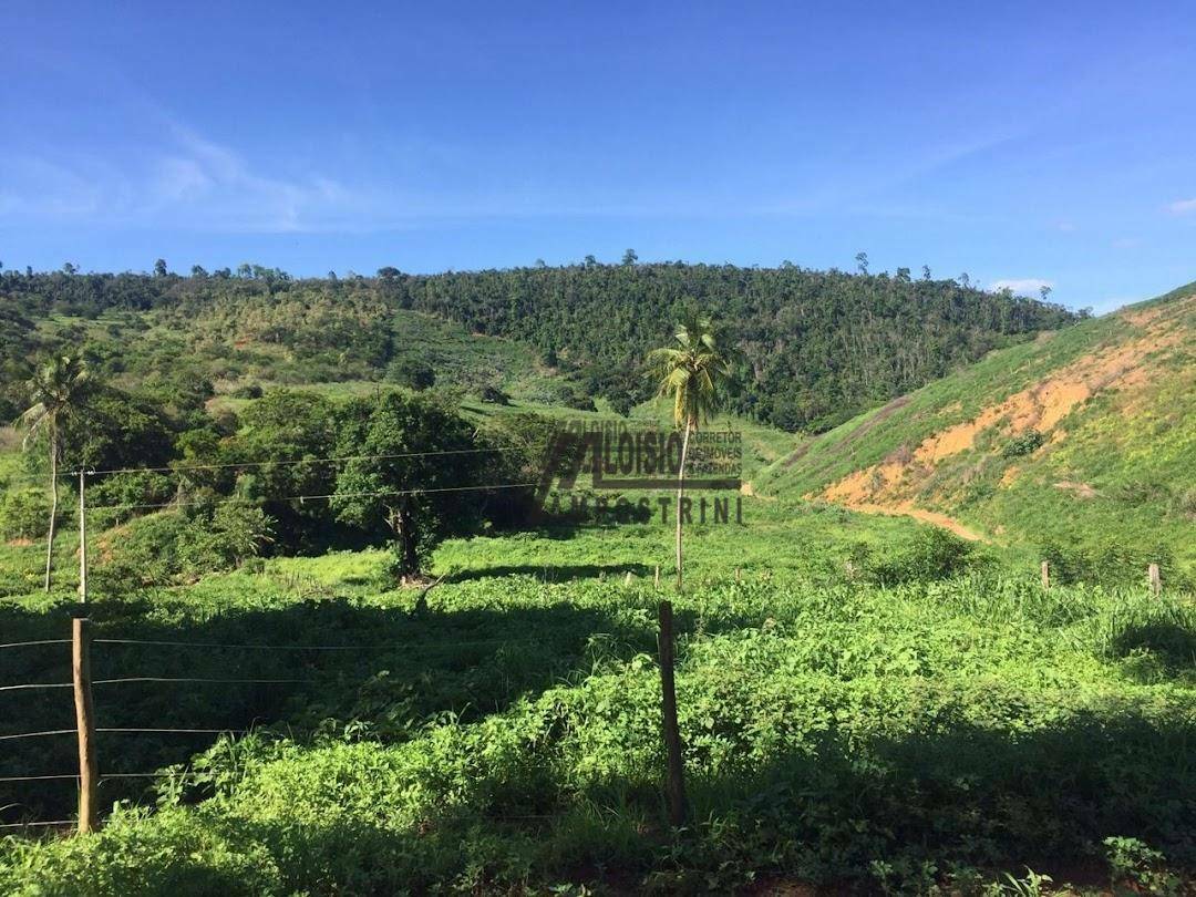 Fazenda à venda, 5469200M2 - Foto 55