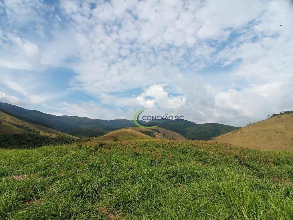 Fazenda à venda com 7 quartos, 5154600M2 - Foto 6