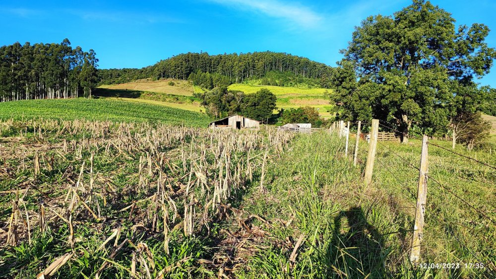 Fazenda à venda, 24m² - Foto 4