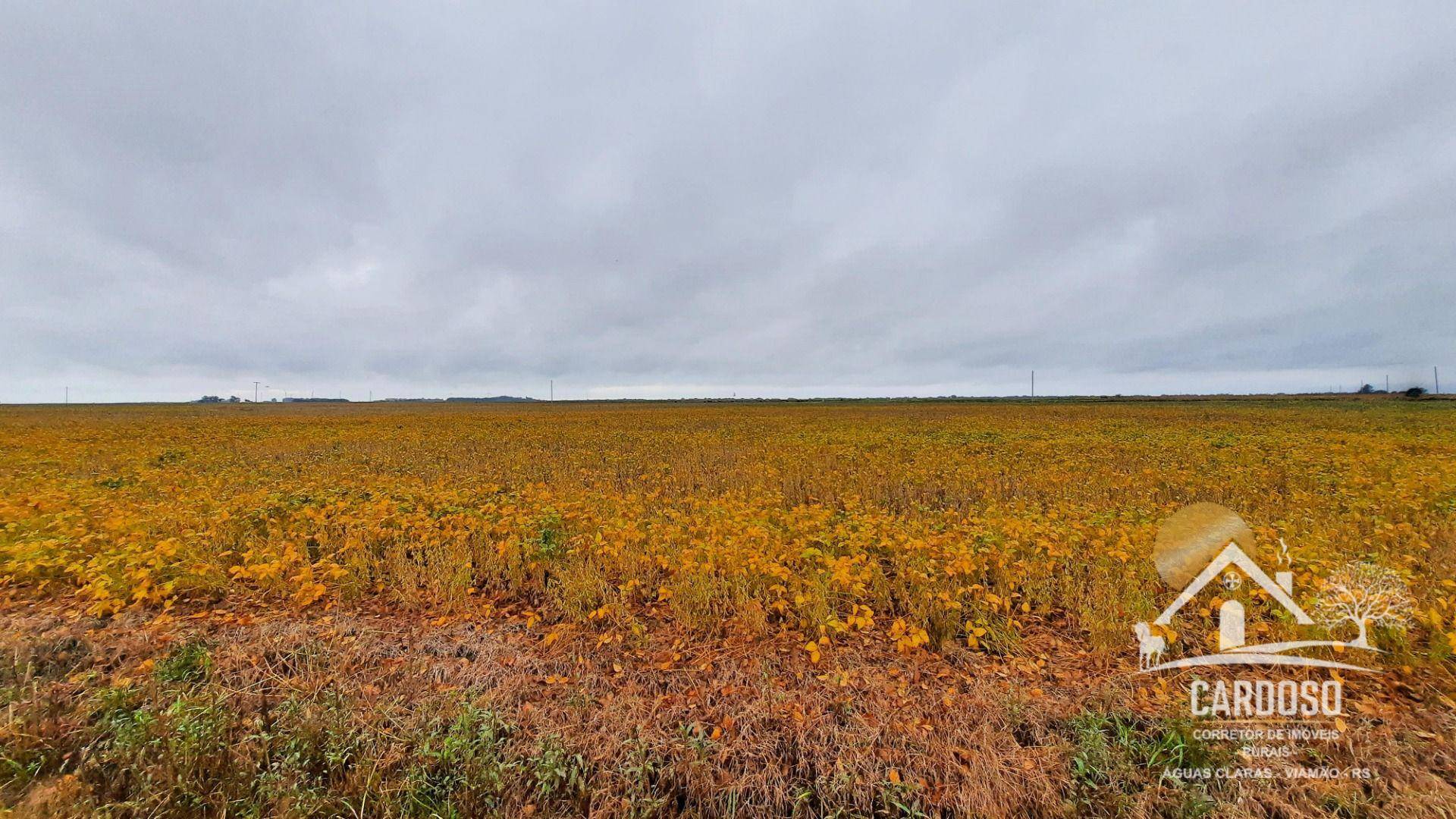 Fazenda à venda, 1830000M2 - Foto 3