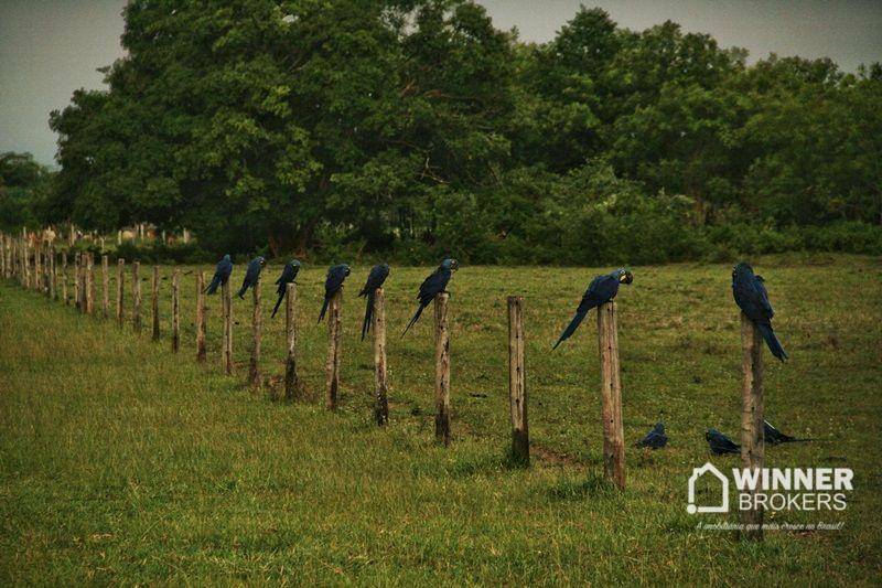 Flat/Apart Hotel, 20 quartos, 20000 m² - Foto 29