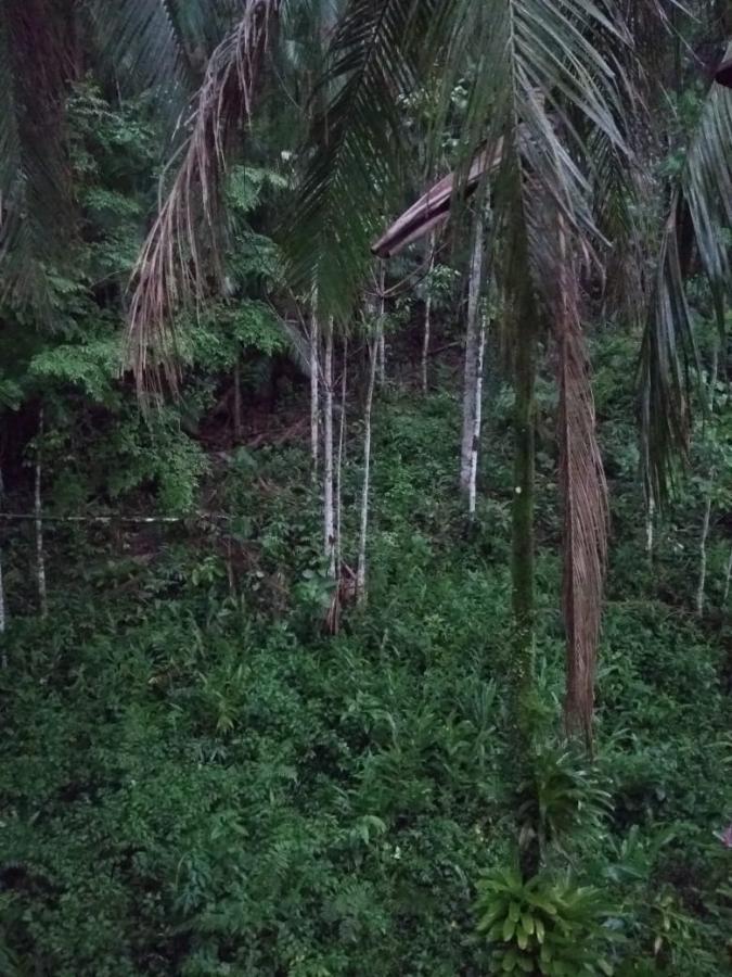 Chácara à venda, 1240m² - Foto 1