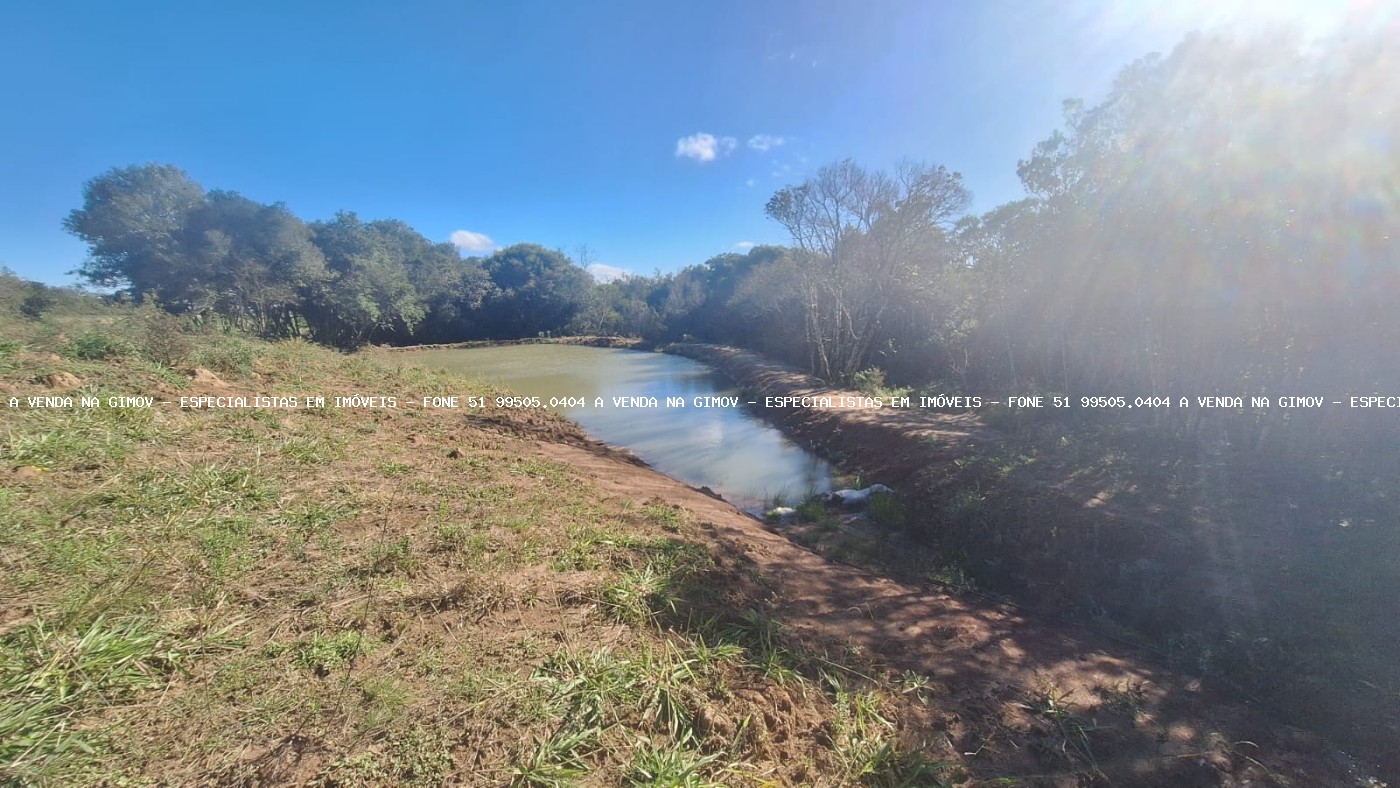 Sítio à venda com 4 quartos, 46500m² - Foto 23