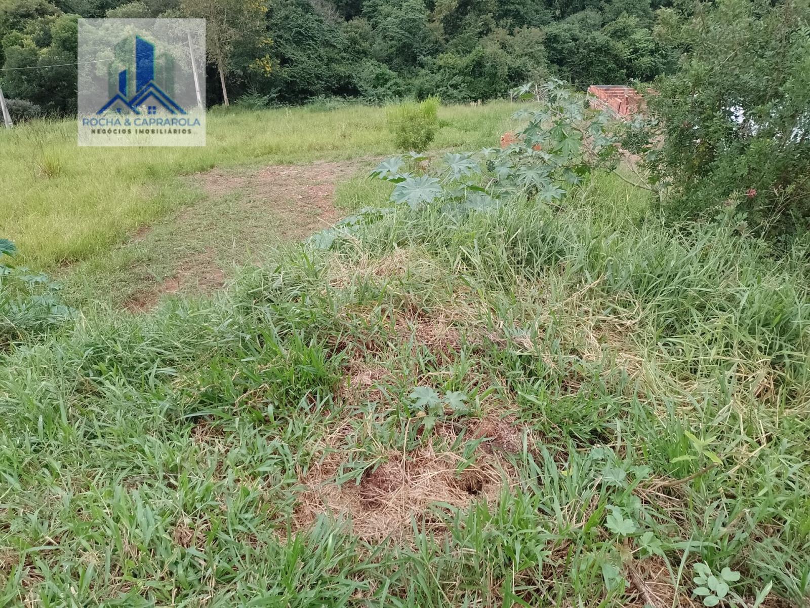 Terreno à venda, 7000m² - Foto 10