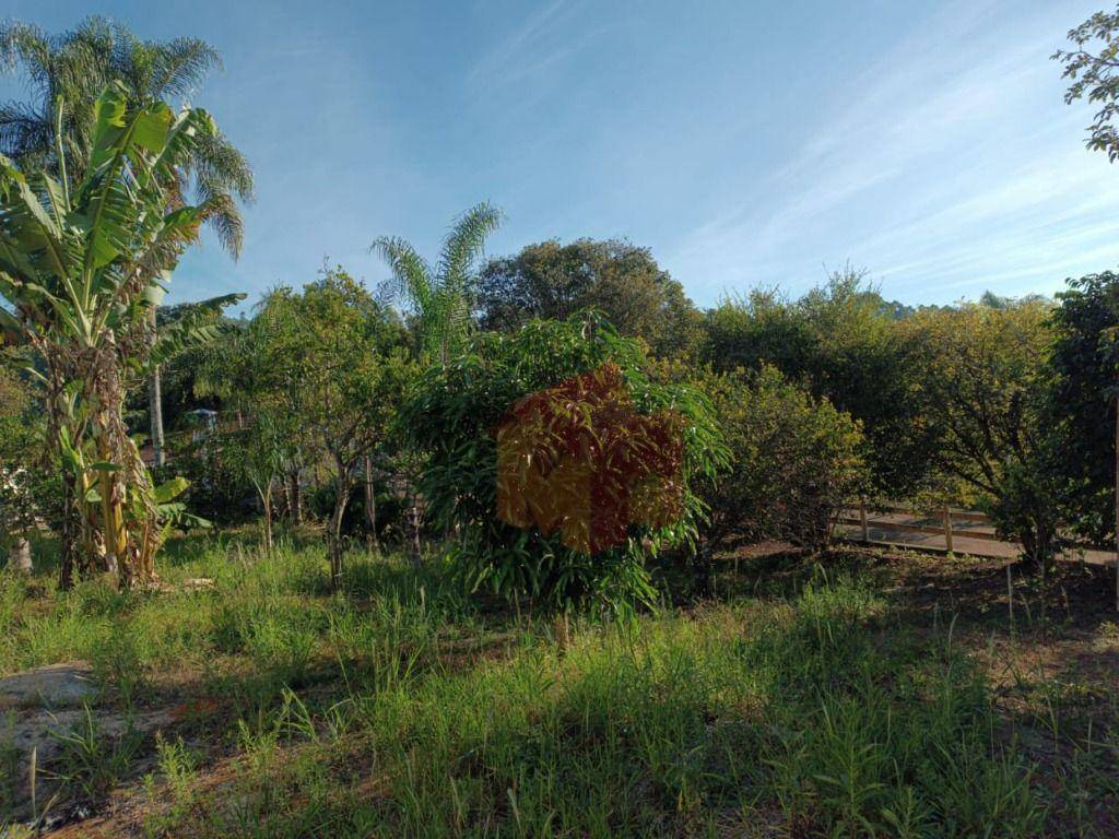 Sítio, 10 hectares - Foto 50