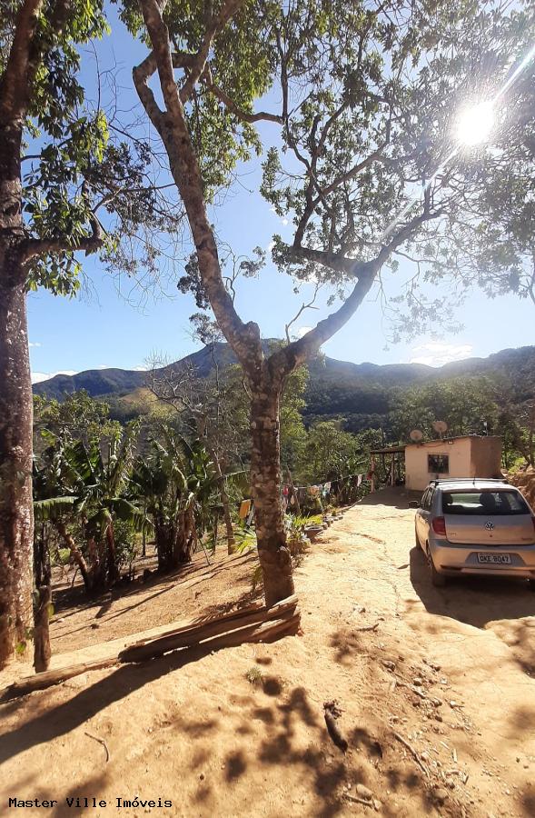 Fazenda à venda com 1 quarto, 6000m² - Foto 4