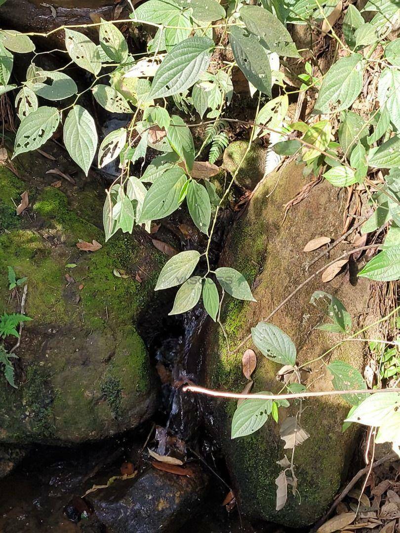 Fazenda à venda, 1292280M2 - Foto 16