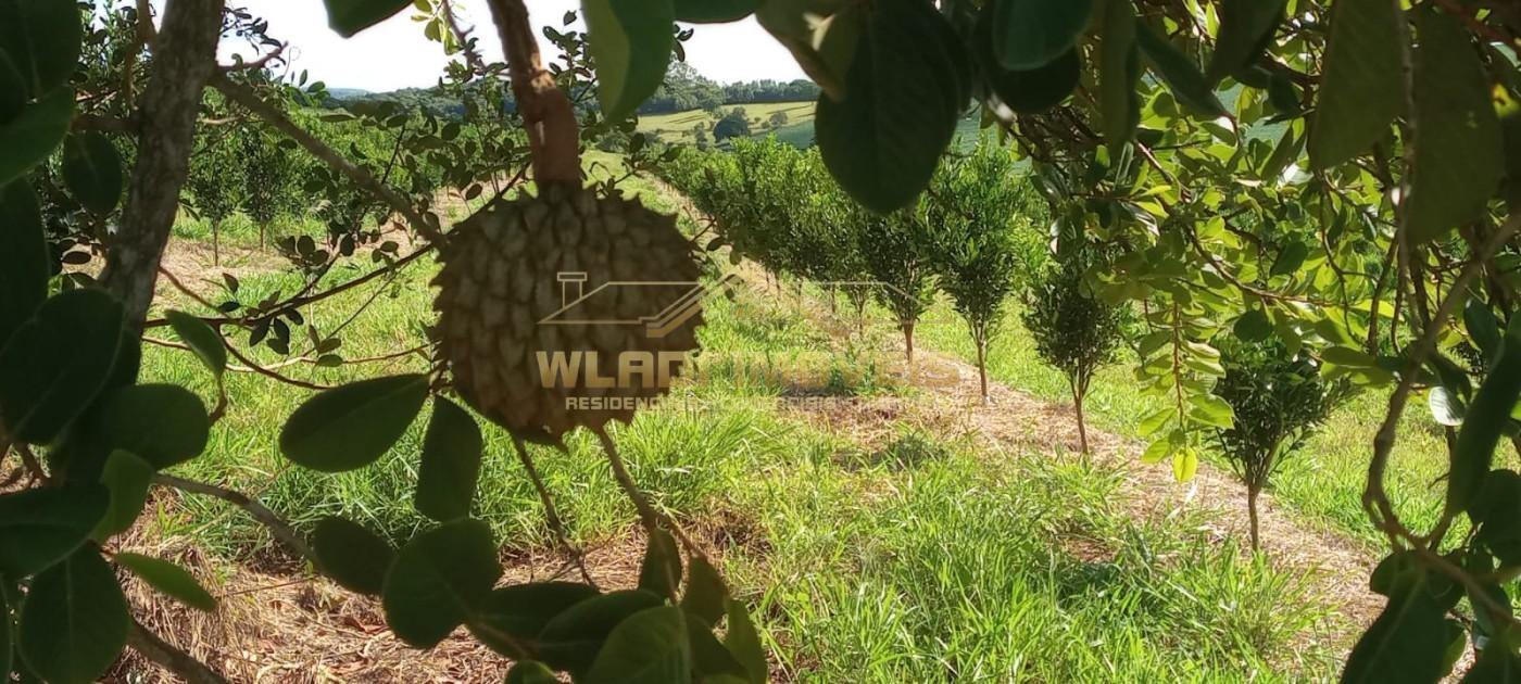 Fazenda à venda, 64m² - Foto 4