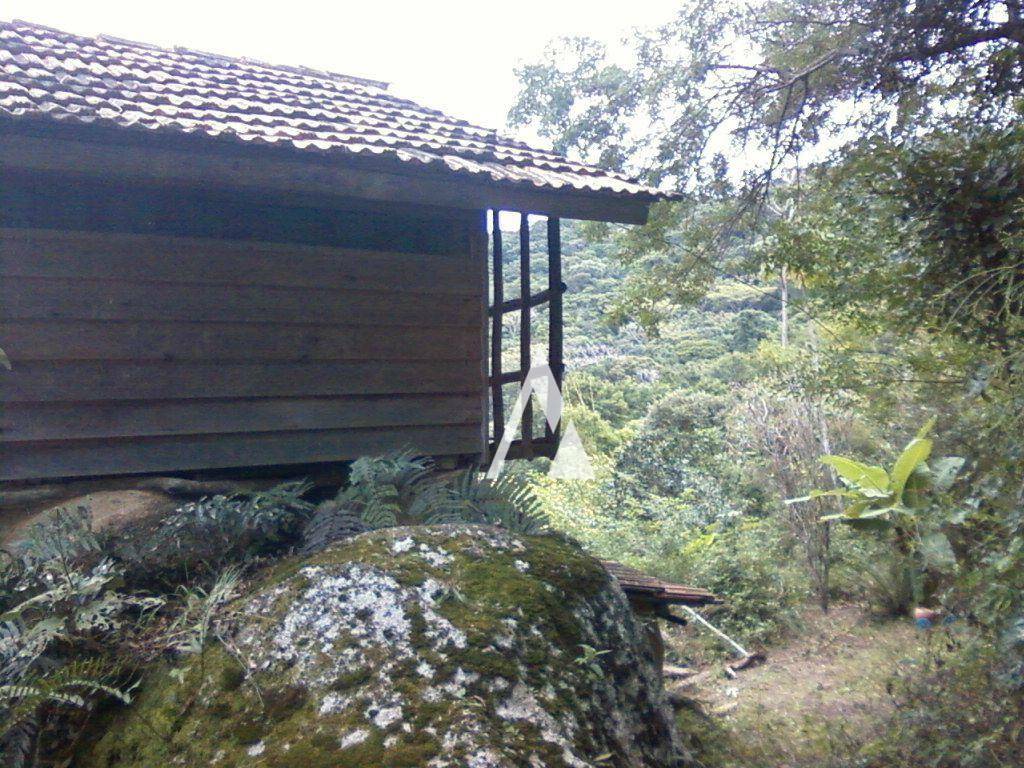 Terreno à venda, 14000M2 - Foto 3