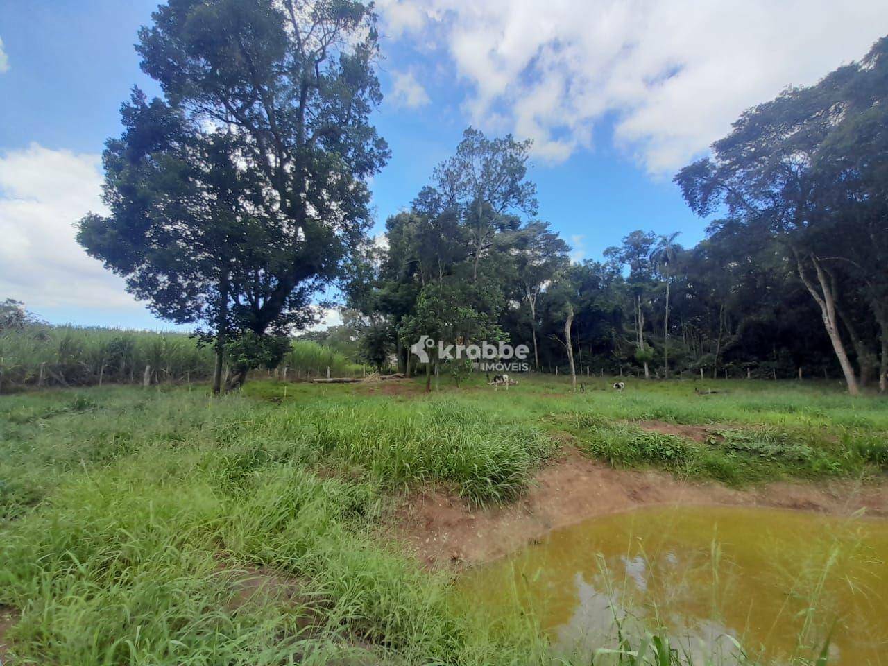 Chácara à venda com 1 quarto, 7490M2 - Foto 1
