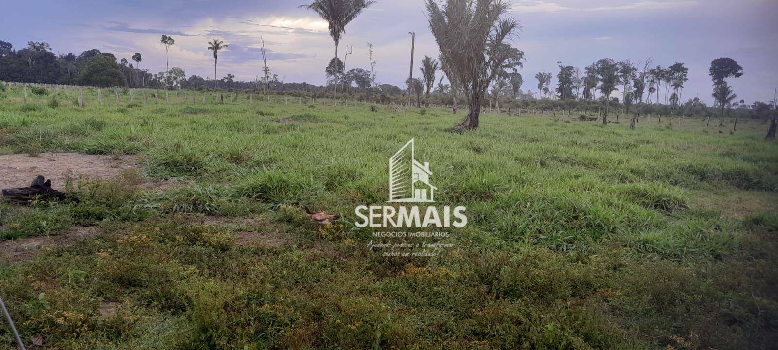 Fazenda à venda com 3 quartos, 726000M2 - Foto 8