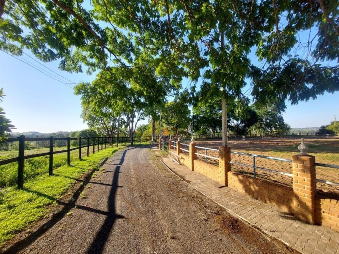 Haras e Área Rural Padrão à venda com 7 quartos, 242000m² - Foto 10