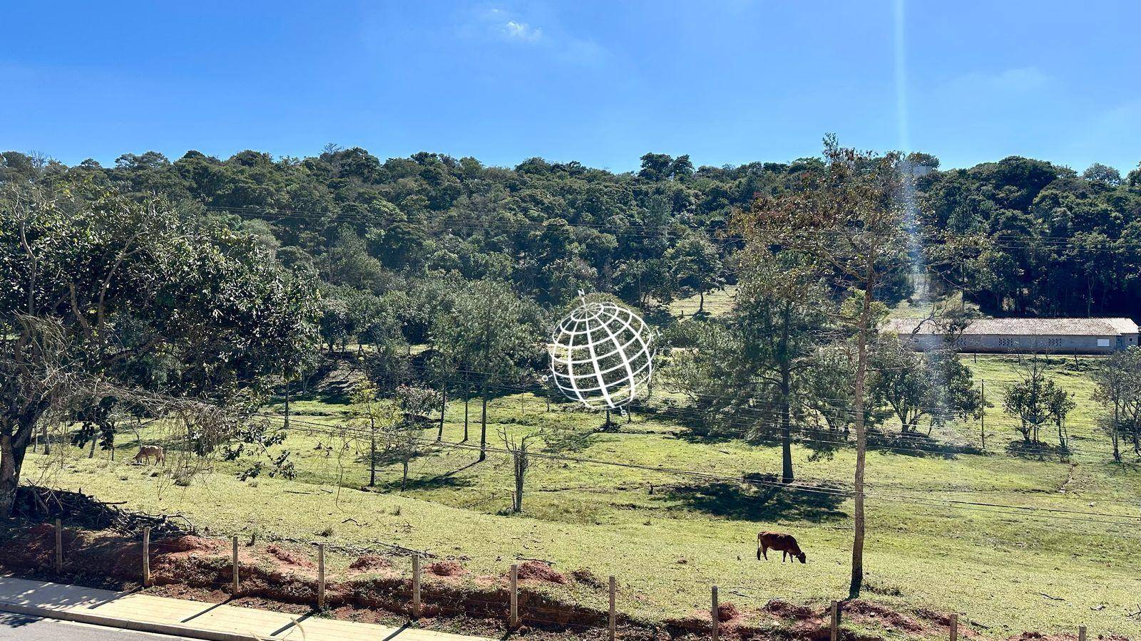 Terreno, 8 hectares - Foto 10