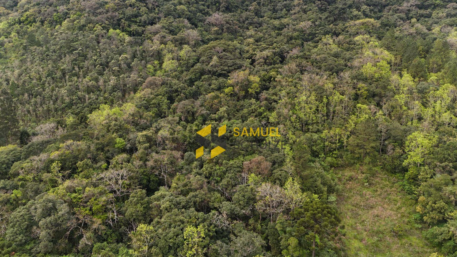 Terreno à venda, 420000M2 - Foto 2