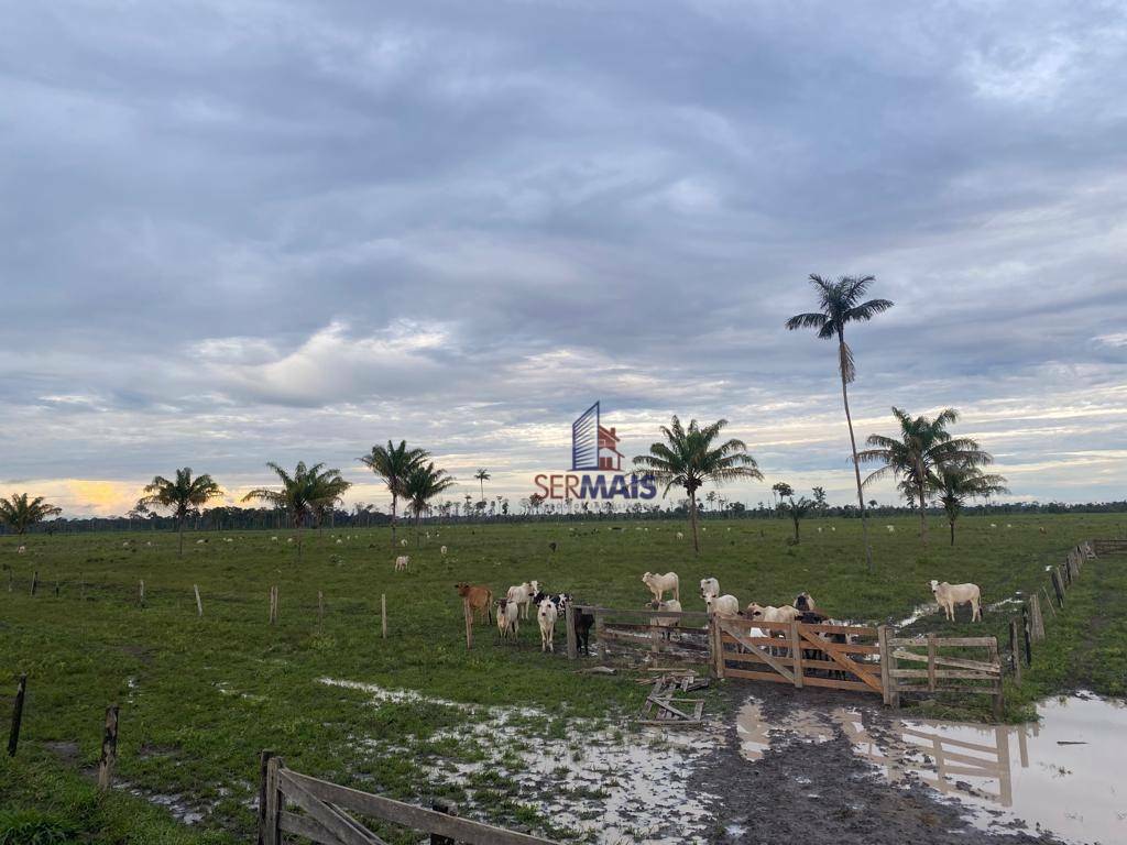 Fazenda à venda, 4114000M2 - Foto 5