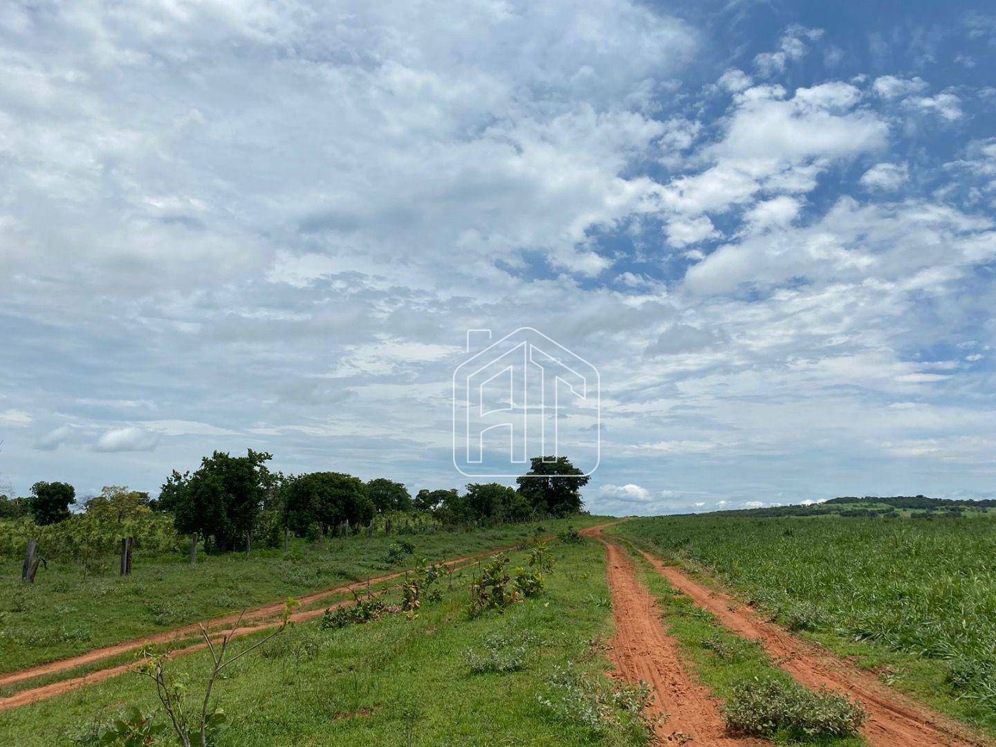 Fazenda à venda com 4 quartos, 40m² - Foto 5