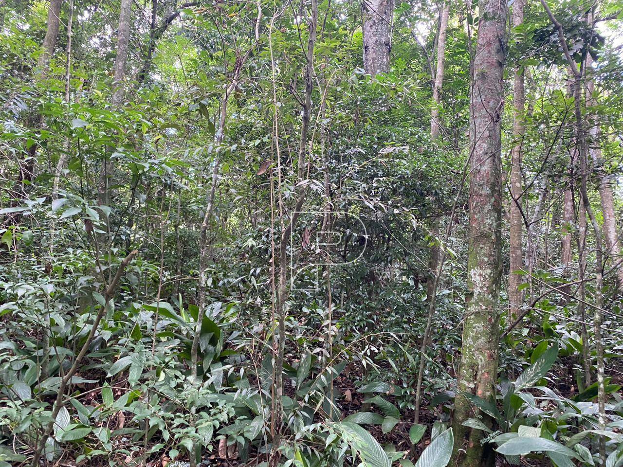 Loteamento e Condomínio à venda, 1125M2 - Foto 3