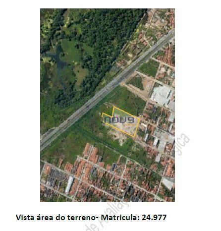 Terreno, 2 hectares - Foto 5