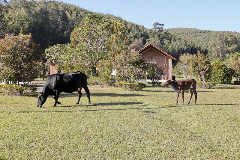 Prédio Inteiro à venda com 6 quartos, 2m² - Foto 3