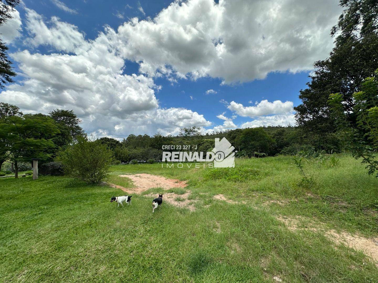 Sítio à venda com 3 quartos, 2920m² - Foto 10