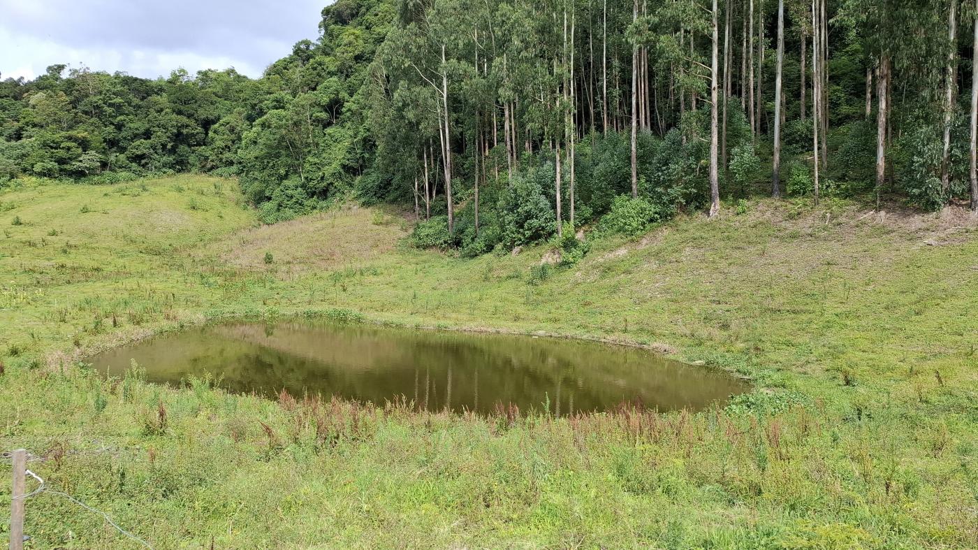 Sítio à venda com 5 quartos, 230000m² - Foto 40