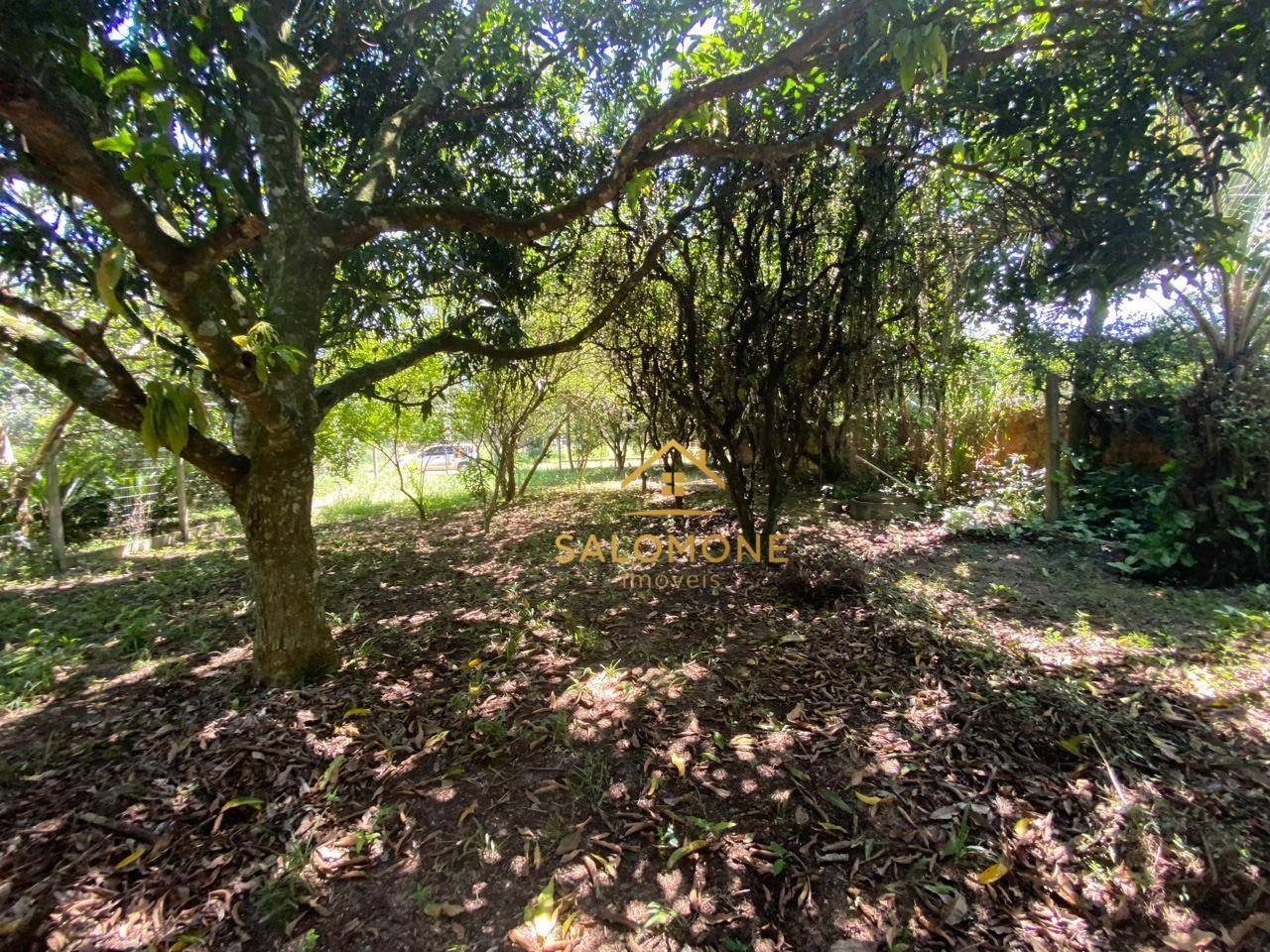 Sítio, 1 quarto, 450 m² - Foto 5