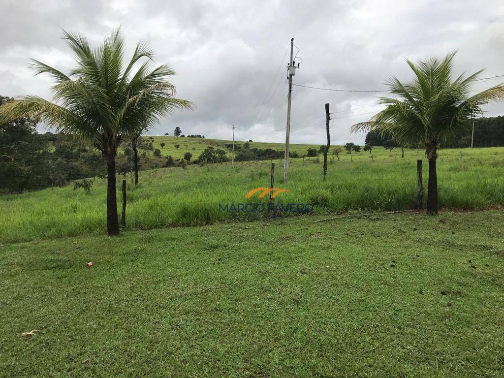 Fazenda à venda, 4250000M2 - Foto 13