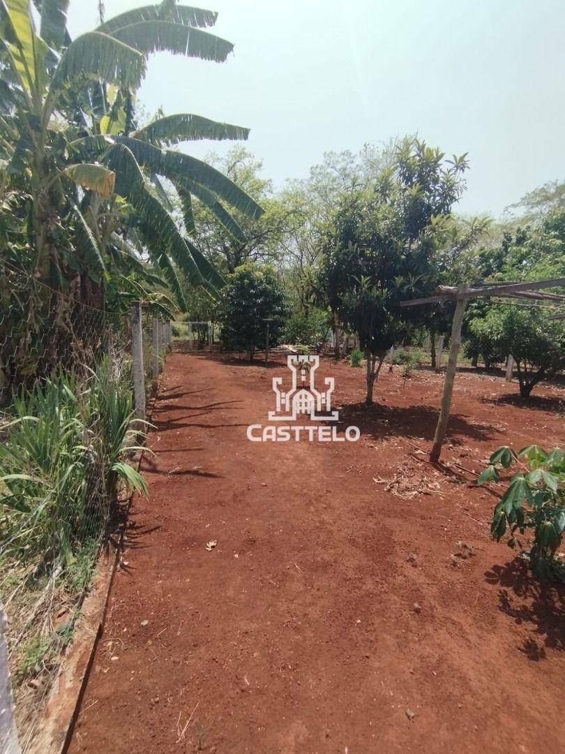 Chácara à venda com 2 quartos, 1070M2 - Foto 24