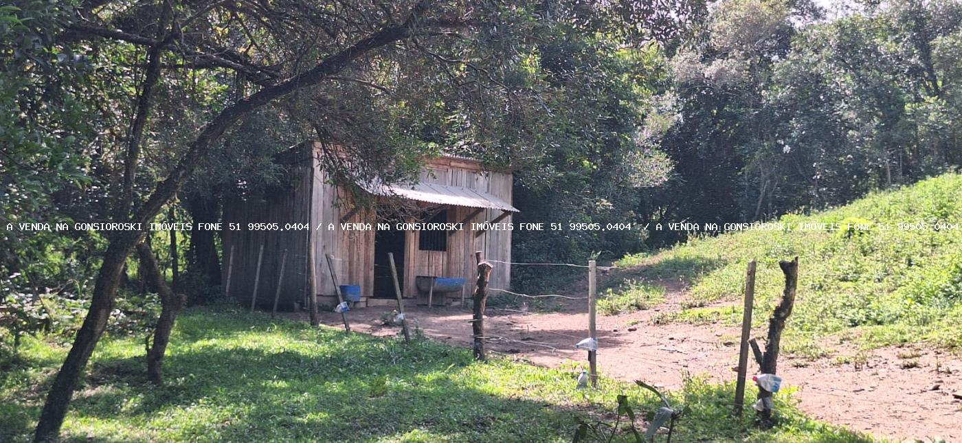 Chácara à venda com 2 quartos, 10000m² - Foto 18
