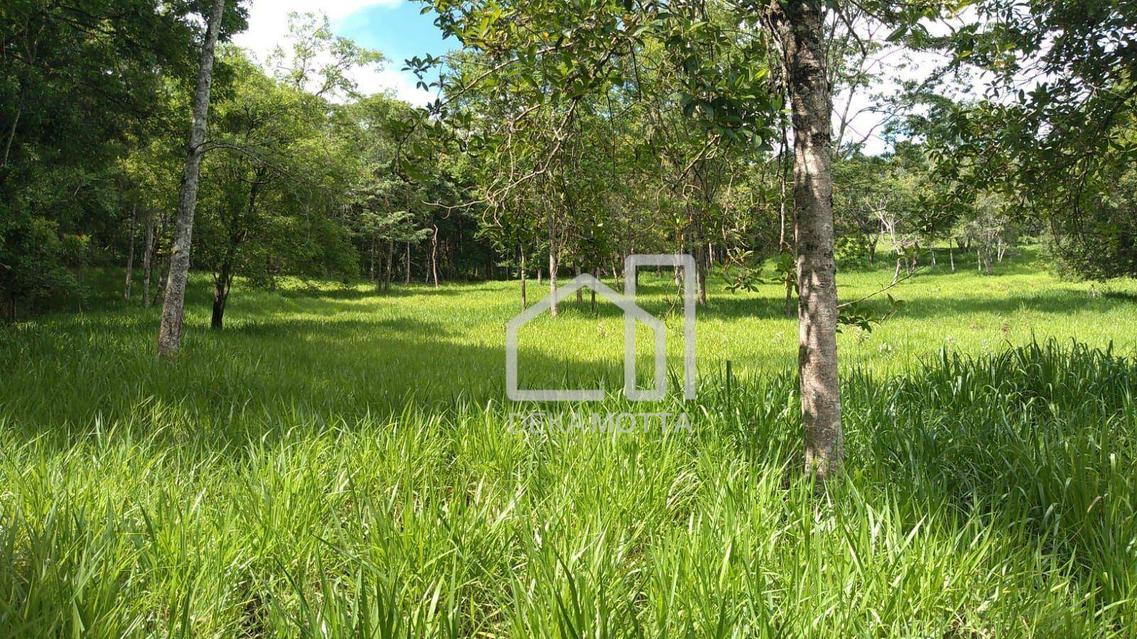 Fazenda à venda com 3 quartos, 250000M2 - Foto 6