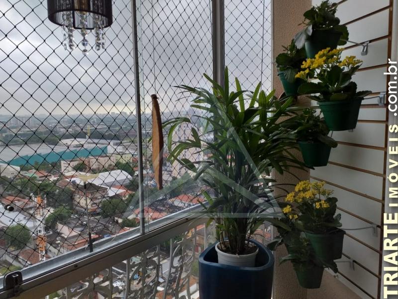 Apartamento à venda com 2 quartos, 71m² - Foto 12