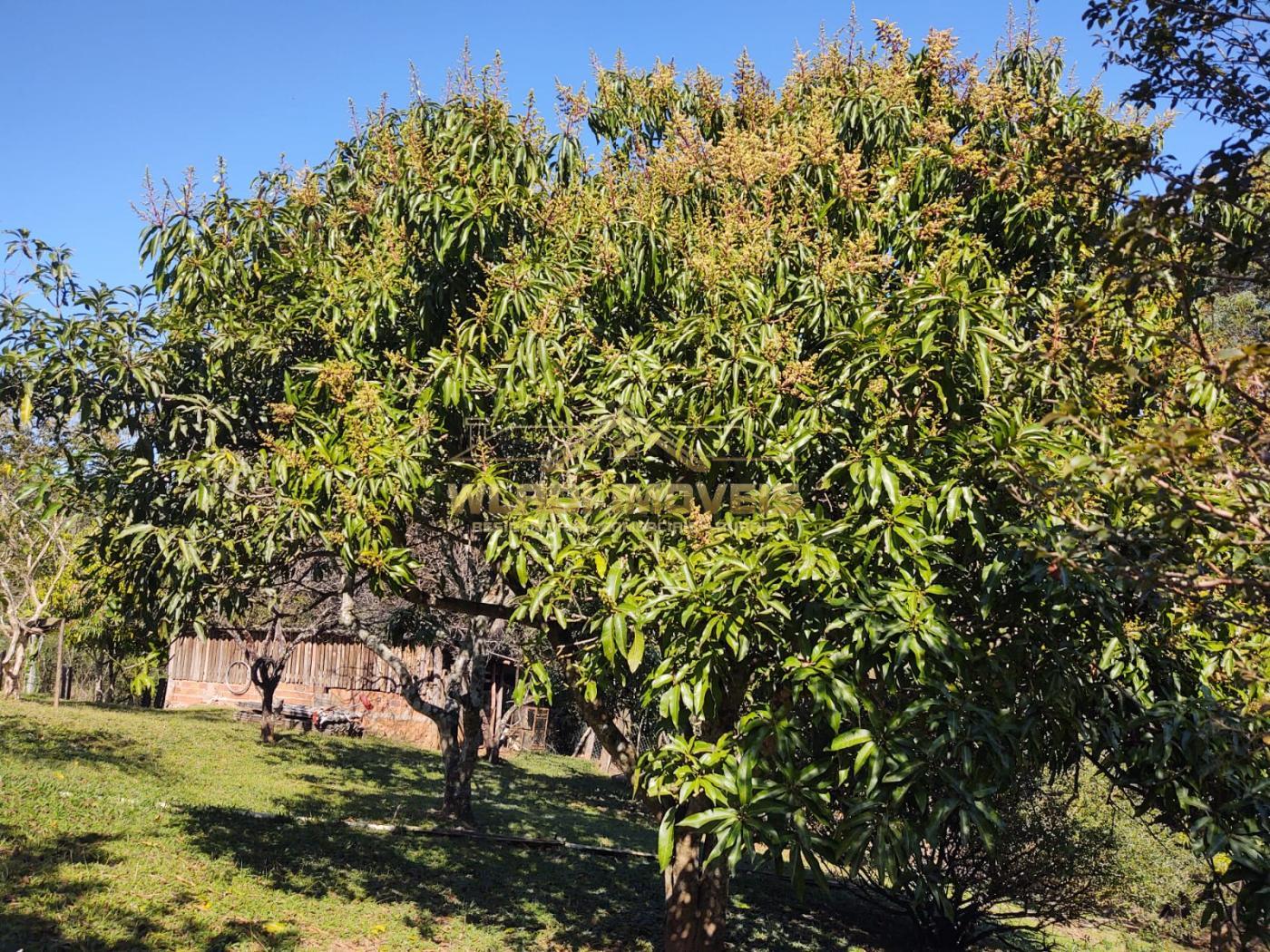 Fazenda à venda, 36000m² - Foto 24