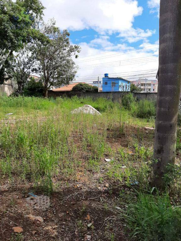 Terreno à venda e aluguel, 640M2 - Foto 5