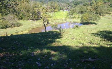 Fazenda à venda com 3 quartos, 40000m² - Foto 13