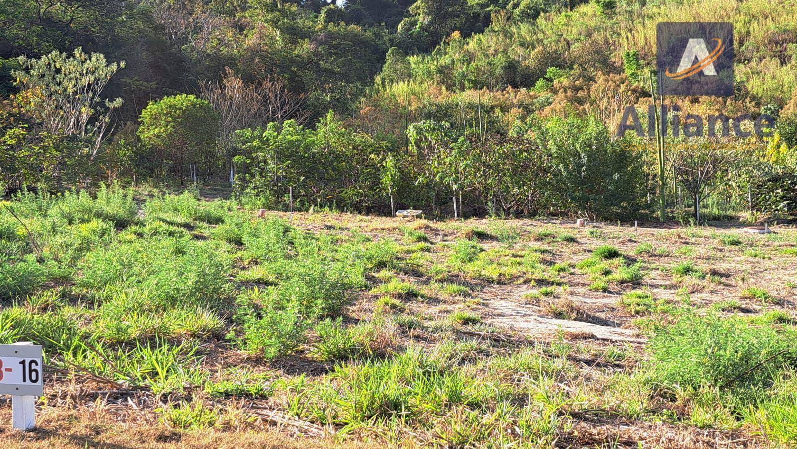 Loteamento e Condomínio, 250 m² - Foto 2