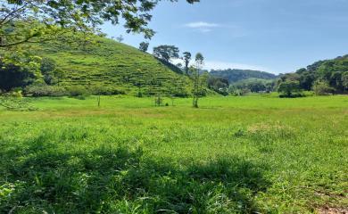 Fazenda à venda com 2 quartos, 47000m² - Foto 16