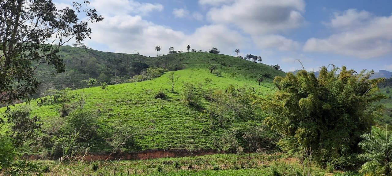 Fazenda à venda, 694m² - Foto 6